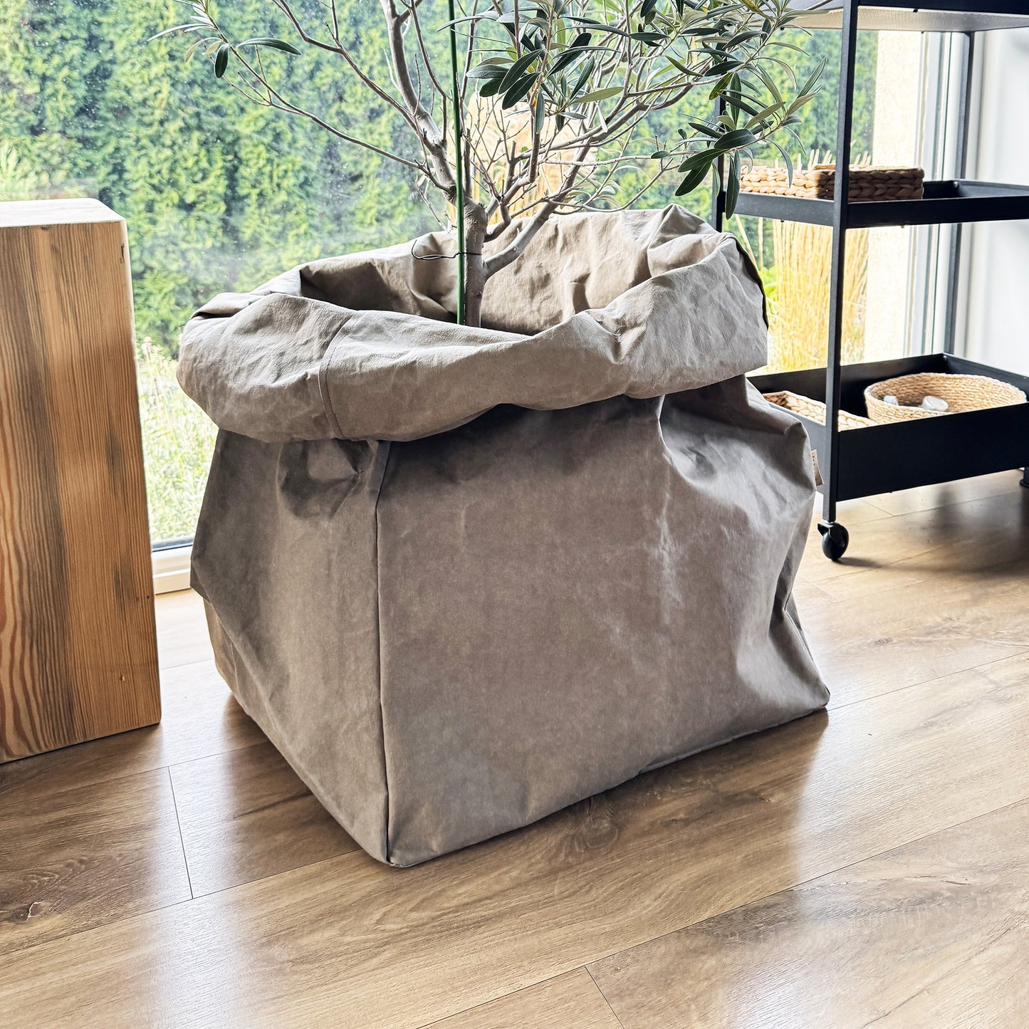 Oversized washable paper bag on a wooden floor with a plant inside, in a room with large windows.