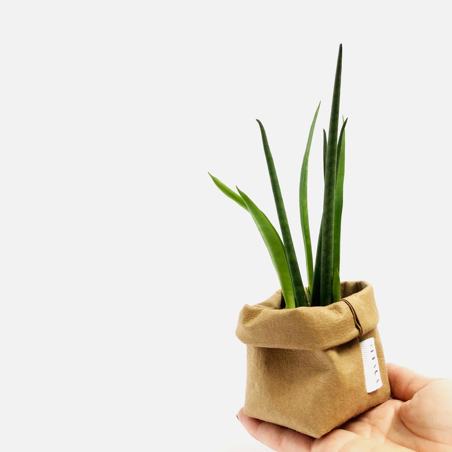 PAPER BAG, Extra Small