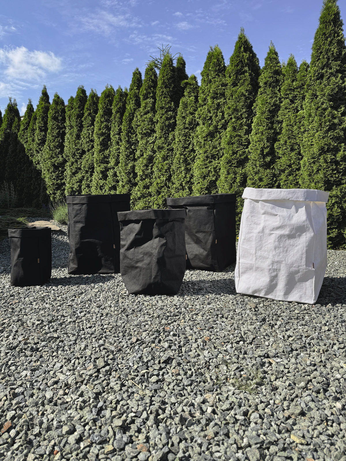 Five washable paper storage bags in different sizes, black and white, outdoor gravel setting with conifer trees