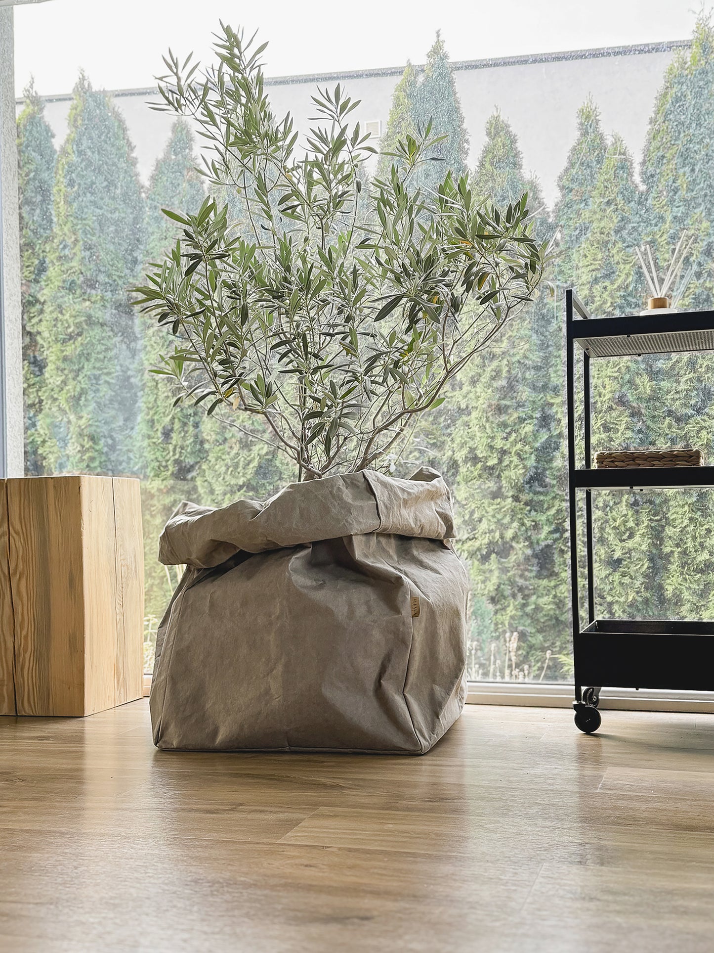 Giant Washable Paper Storage Bag styled as a planter cover for a potted olive tree, chino, bright living room with wood floor