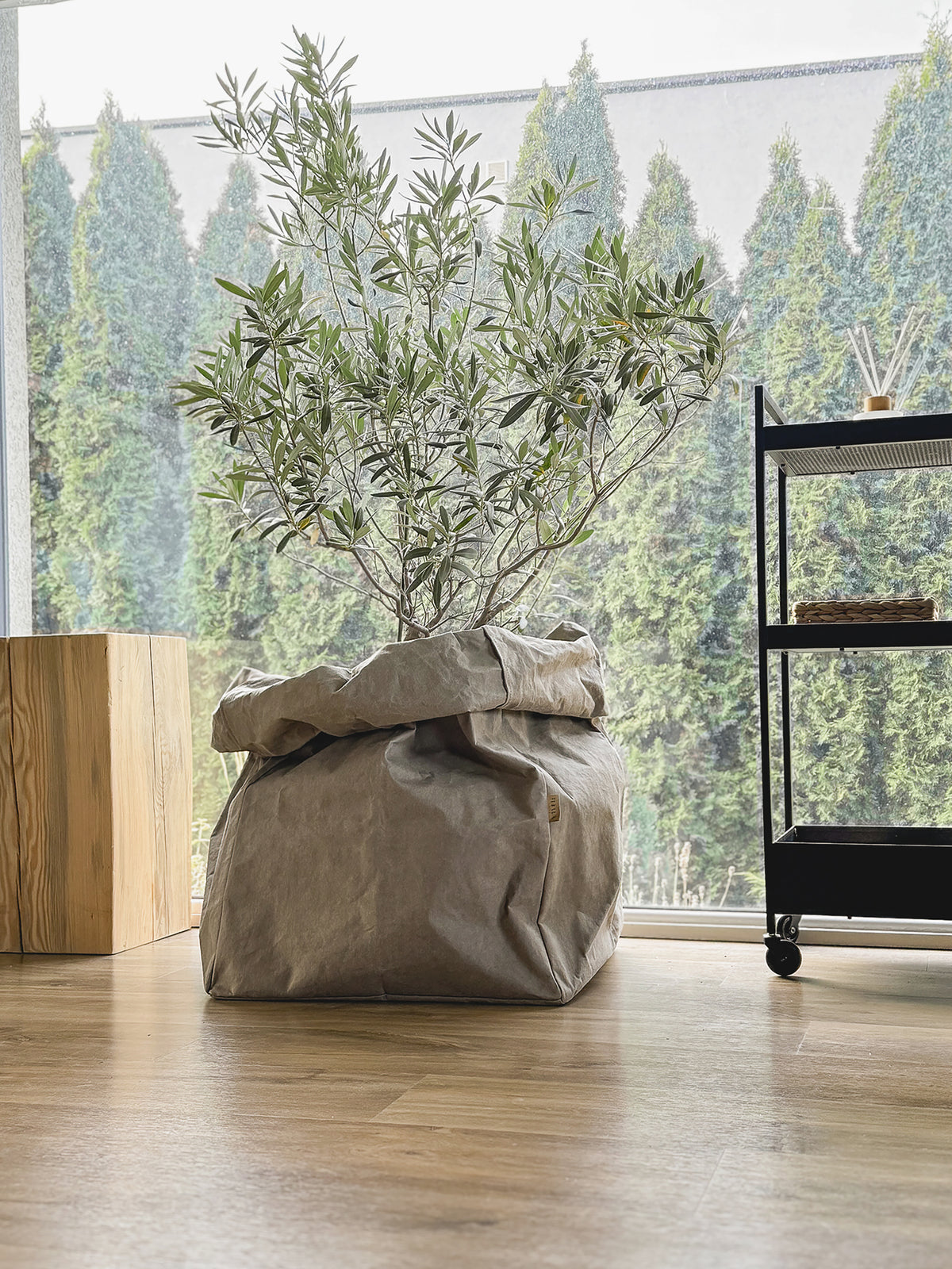 Giant Washable Paper Storage Bag styled as a planter cover for a potted olive tree, chino, bright living room with wood floor