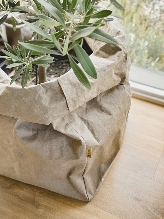 Washable paper planter bag holding a green houseplant, in chino color, natural light near a window