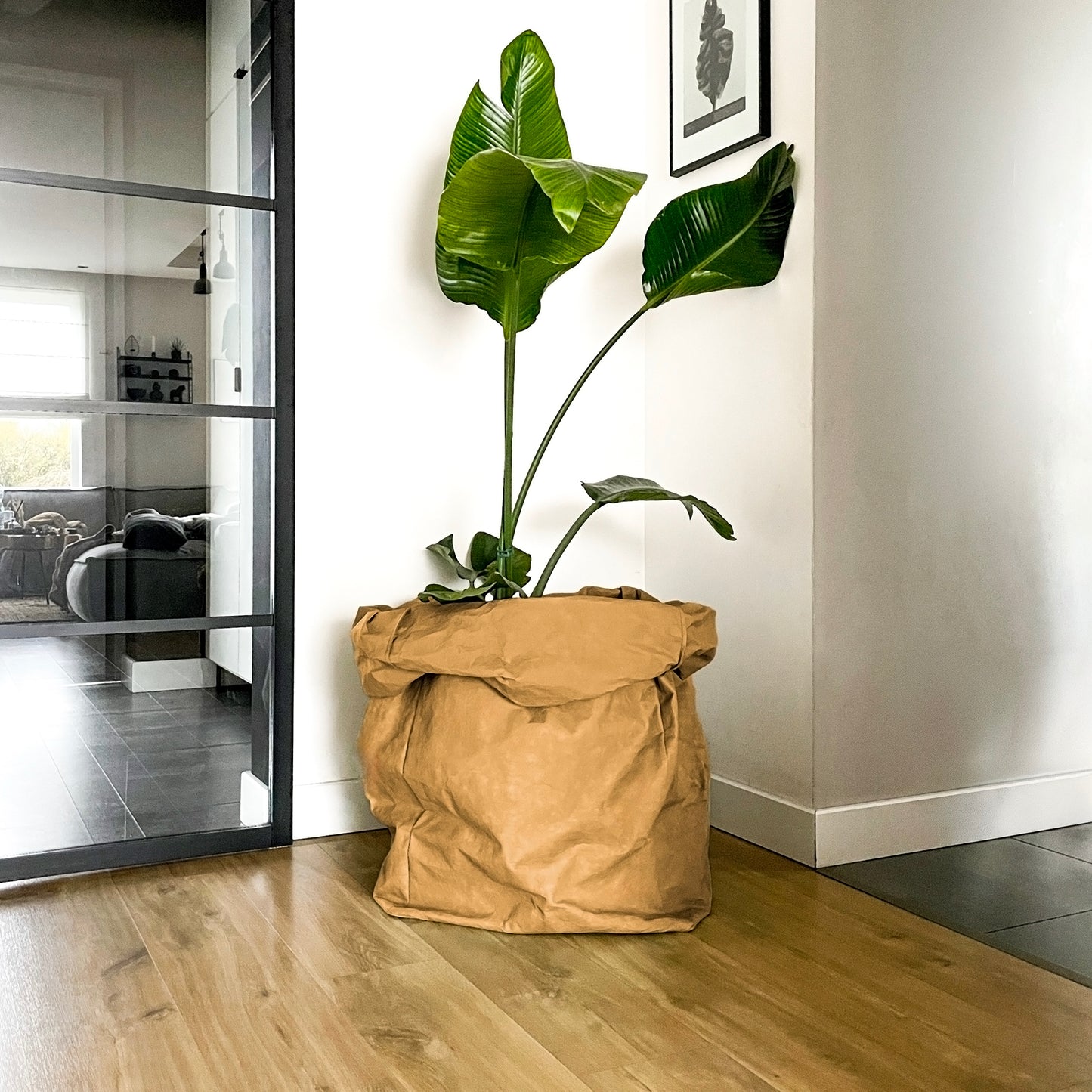 Giant washable paper bag used as a minimalist planter cover for a large indoor plant in a modern living room