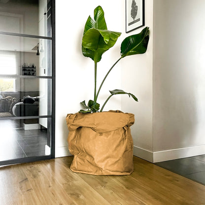 Giant washable paper bag used as a minimalist planter cover for a large indoor plant in a modern living room