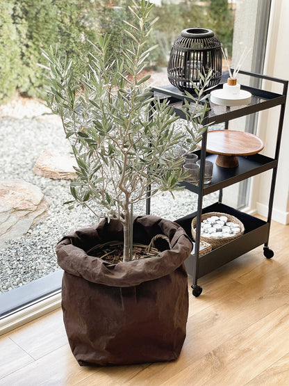 A potted olive tree in a brown washable paper planter placed on a light wood floor next to a black metal rolling cart in a bright modern living room setting.