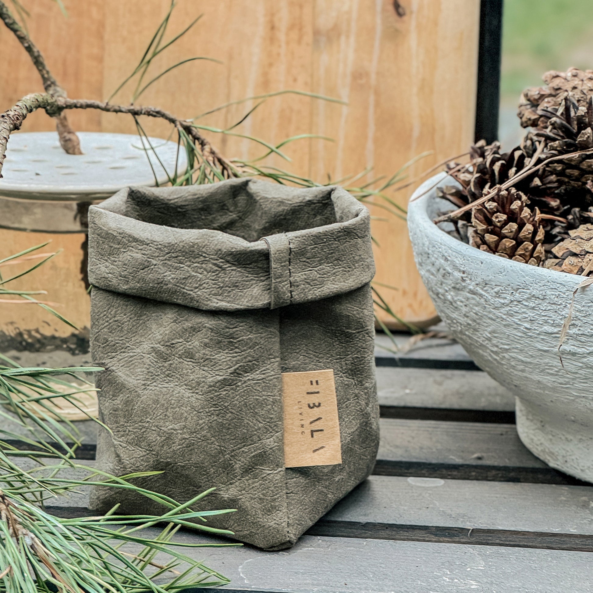 Petite olive-green washable paper bag, label, wood surface, plants, stone bowl—eco mini planter tote