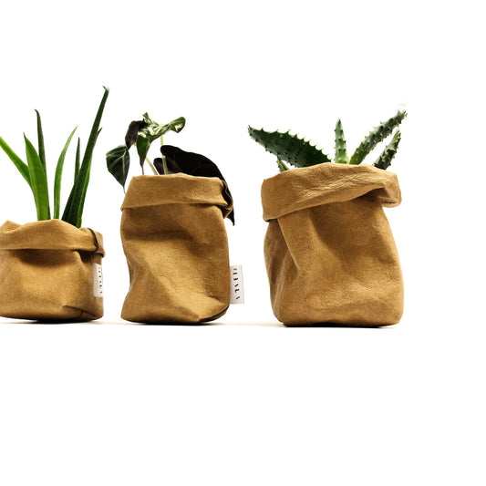 Paper bag planter, Washable paper bag, Small storage pot, Kraft paper bag, Small planter bag , Sustainable storage, Mini planter, Zero waste