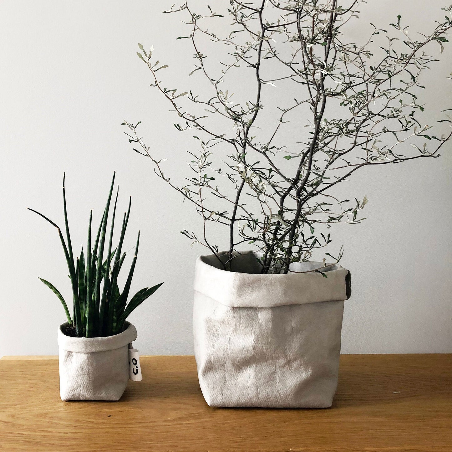 Washable paper bag for storage